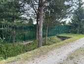 Зелёный штакетник