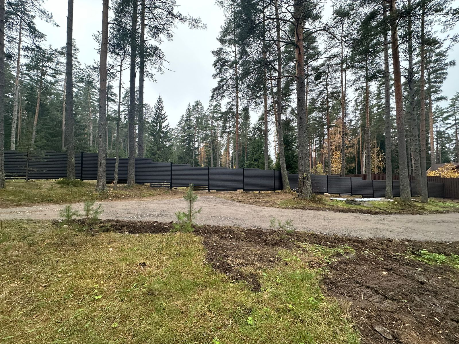 Забор